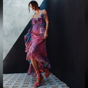 Gianni Bini x DANNIJO Isabella Printed Ruffle Crinkle Chiffon Maxi Dress